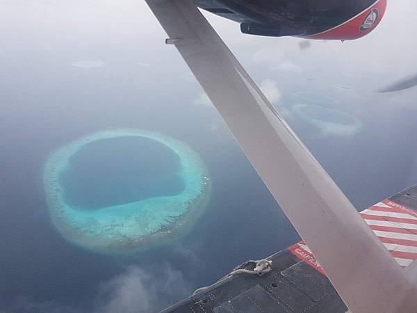 【海外旅遊】蜜月 馬爾地夫 Amilla Fushi Res