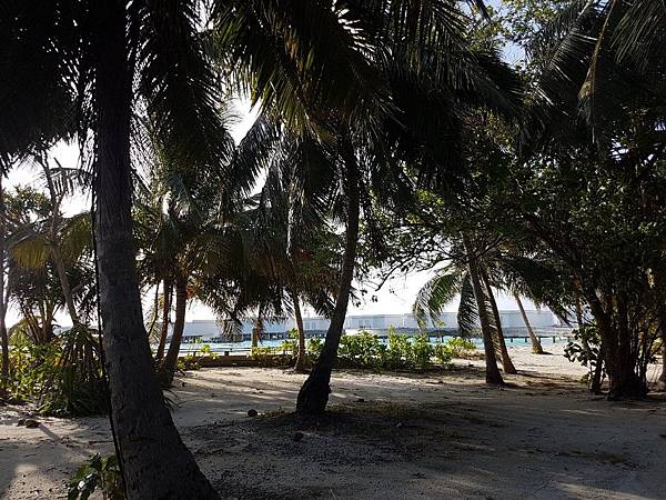 【海外旅遊】蜜月 馬爾地夫 Amilla Fushi Res