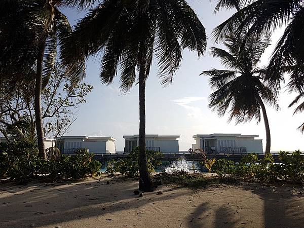 【海外旅遊】蜜月 馬爾地夫 Amilla Fushi Res