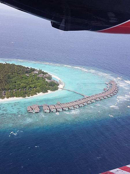 【海外旅遊】蜜月 馬爾地夫 Amilla Fushi Res