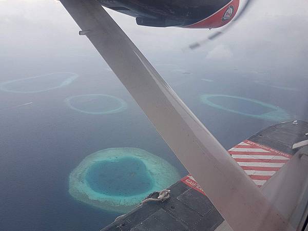【海外旅遊】蜜月 馬爾地夫 Amilla Fushi Res