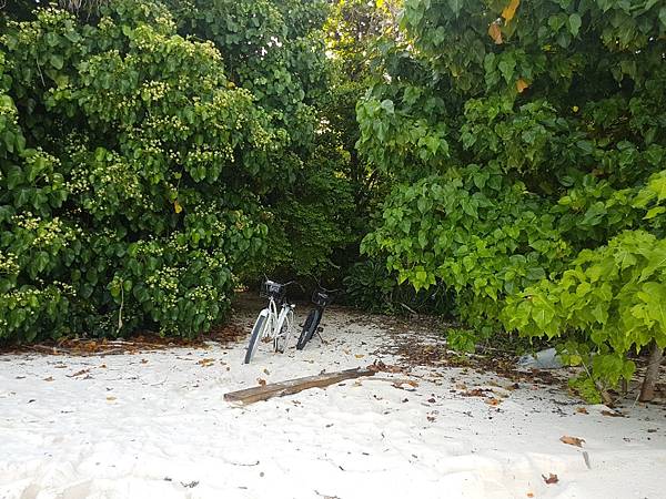 【海外旅遊】蜜月 馬爾地夫 Amilla Fushi Res