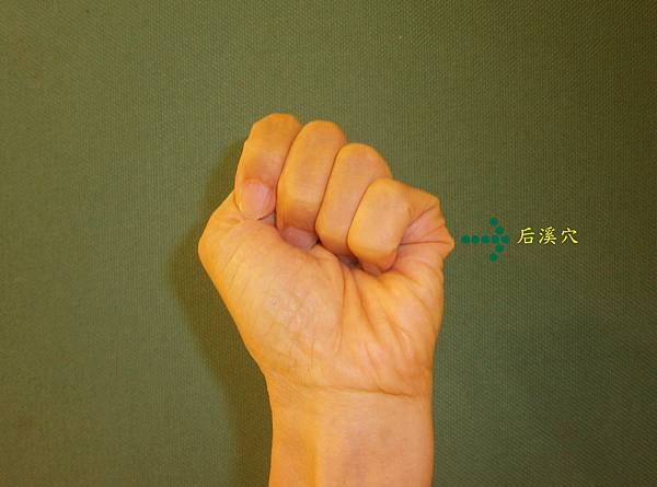 后溪穴 后溪穴