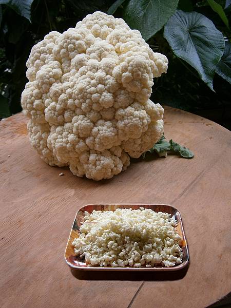 白花椰菜 白花椰菜