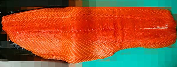 鮭魚刺身.jpg