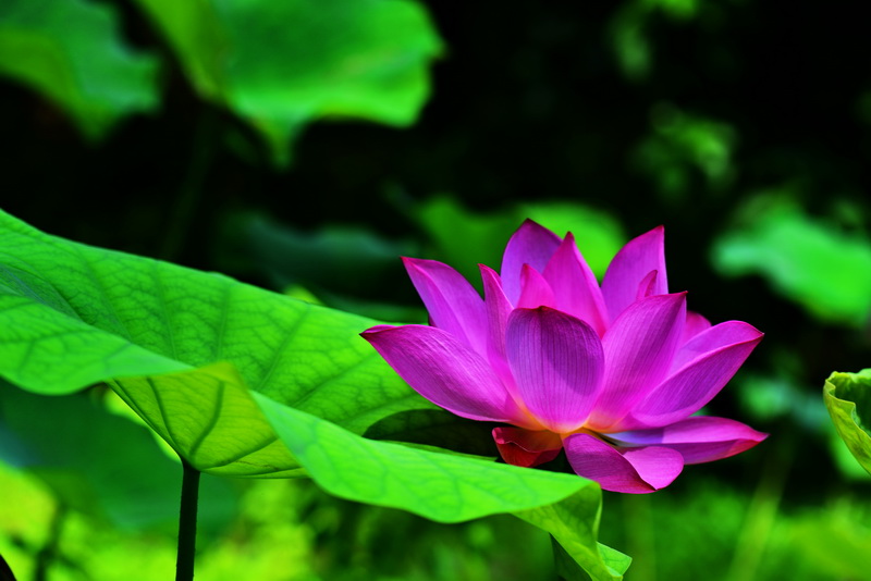 _DSC6562_調整大小 _DSC6562_調整大小