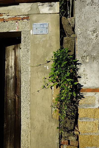 _DSC6923_resize.JPG _DSC6923_resize.JPG