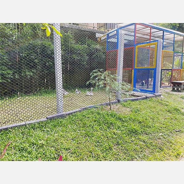 S__5668921.jpg S__5668921.jpg