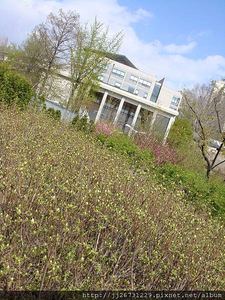 0428-03NIKKI梨大07-3