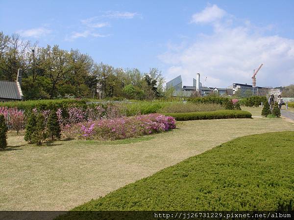 0428-03NIKKI梨大07-4