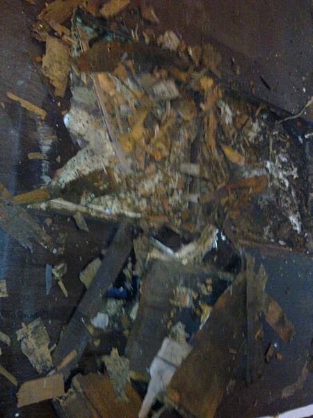 簡約無縫木地板-歐洲白橡-120303919施工前海島木地板-樹林 超耐磨木地板/強化木地板