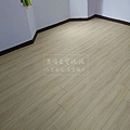 米亞淺橡 (3).JPG