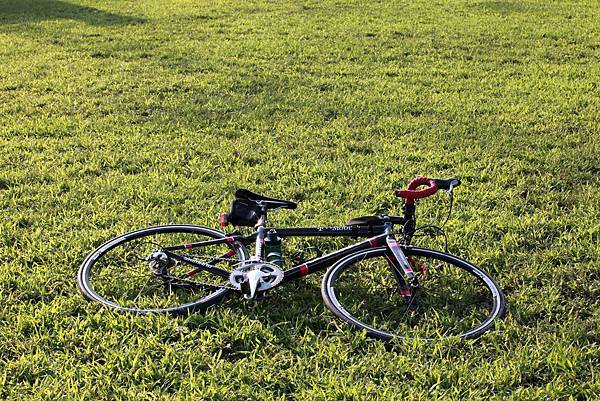 IMG_2464 (复制).JPG