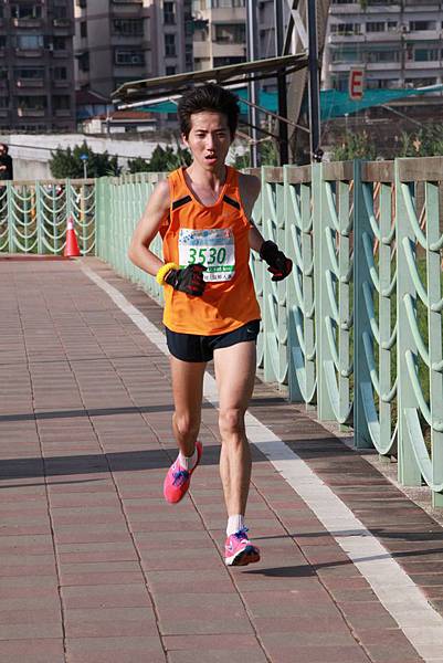 IMG_2514 (复制).JPG