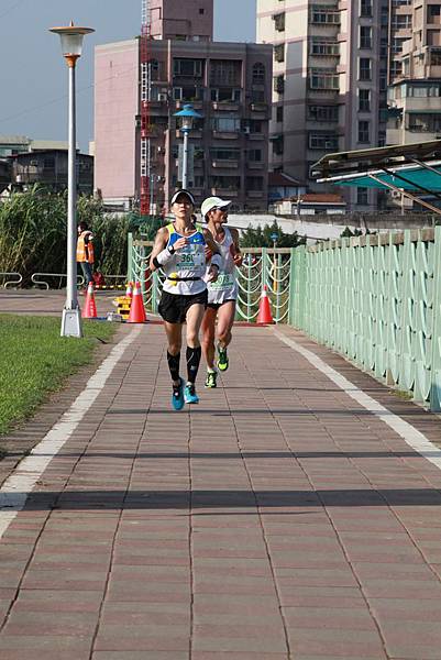 IMG_2515 (复制).JPG