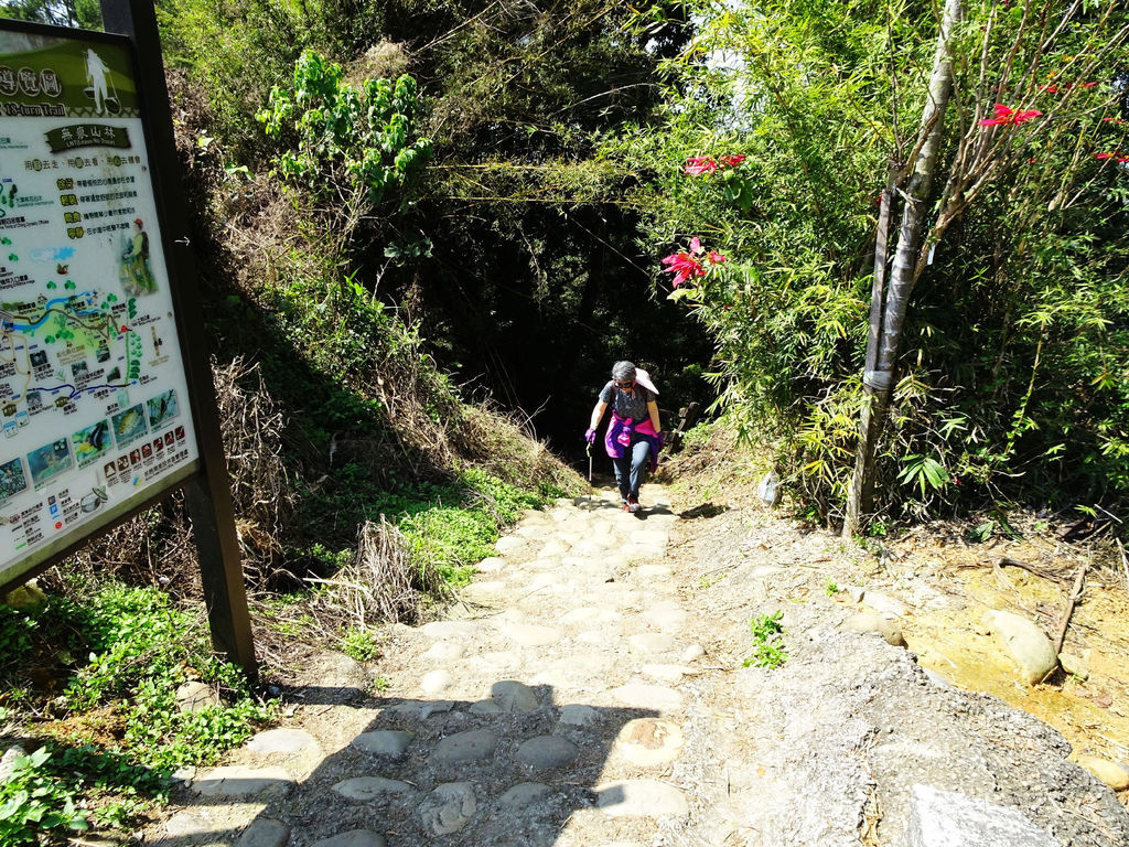 20180226-彰化南投橫山_180226_0096.jpg