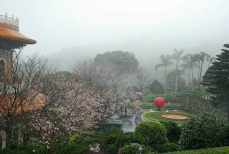 雨中天元宮2.JPG