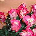 15238044c976ca.jpg