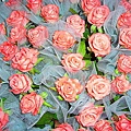 15238044fd4389.jpg