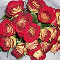 15238044d71573.jpg