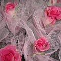 152380451ab356.jpg