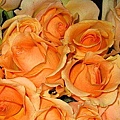 1523804479f9ef.jpg