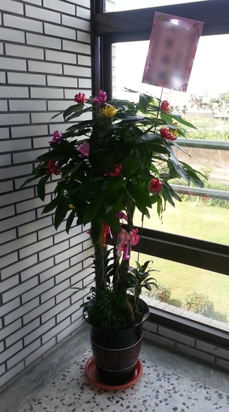 153d787356371d.jpg