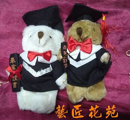 Teddy bear泰迪熊學士帽中小型玩偶