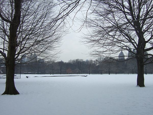 central park under snow