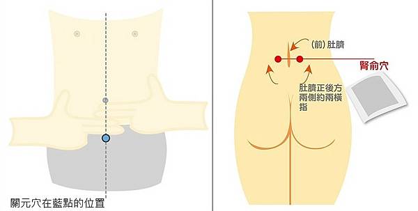 關元穴%26;腎俞穴.jpg