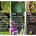 J9 formula薑黃草本｜成分特色.png