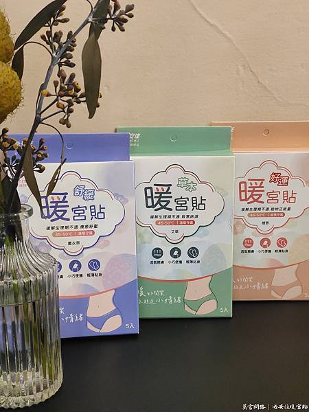 必安住暖宮貼，趕走每個月的小情緒｜鱷魚蚊香｜評價｜好用嗎｜天界之舟行善濟世 (2).jpg