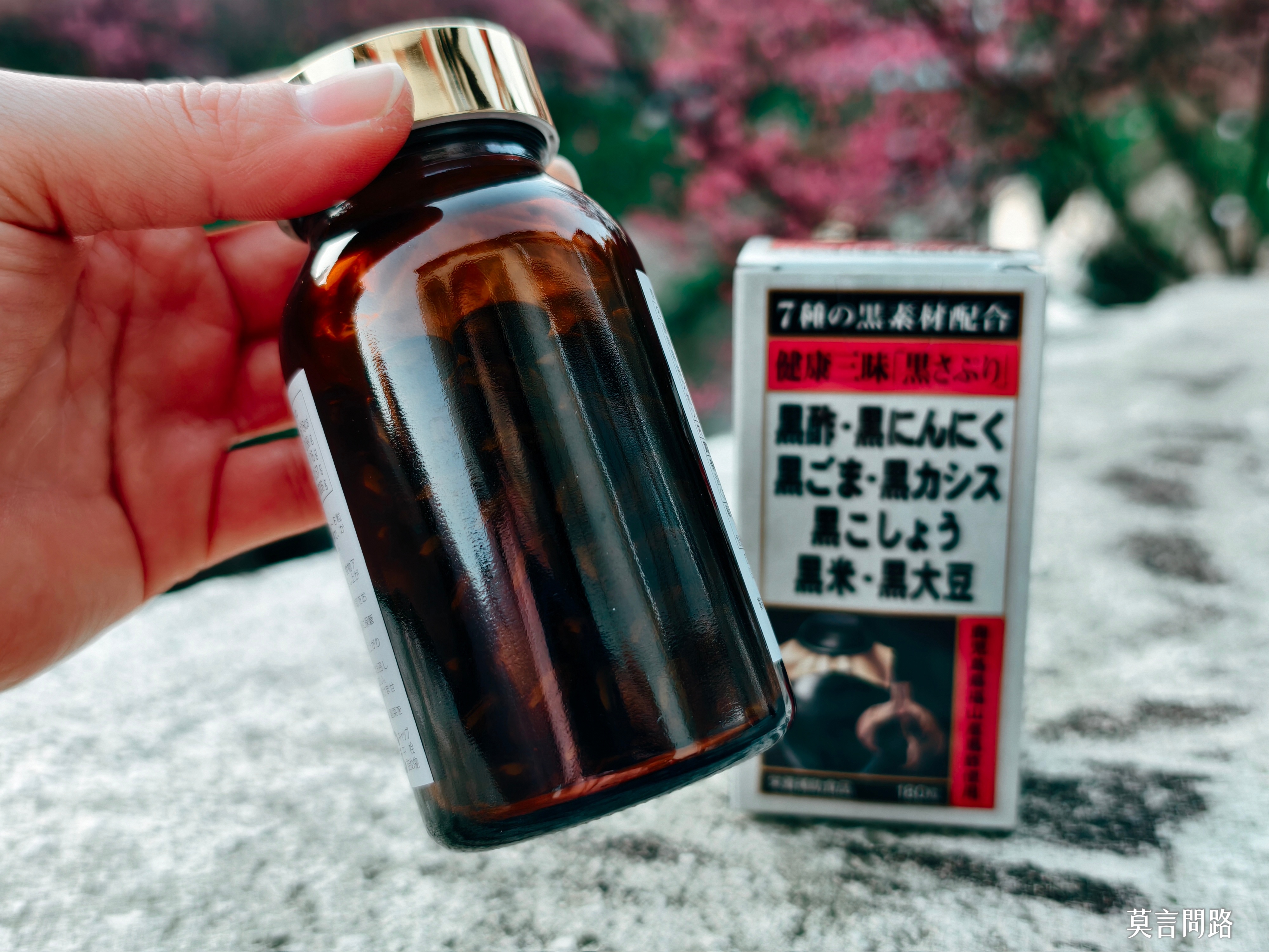 【健康三味黑膠囊】保持一整天的活力，營養師高敏敏推薦｜聚集7種黑色植物食材營養｜上班族團購 (8).jpg