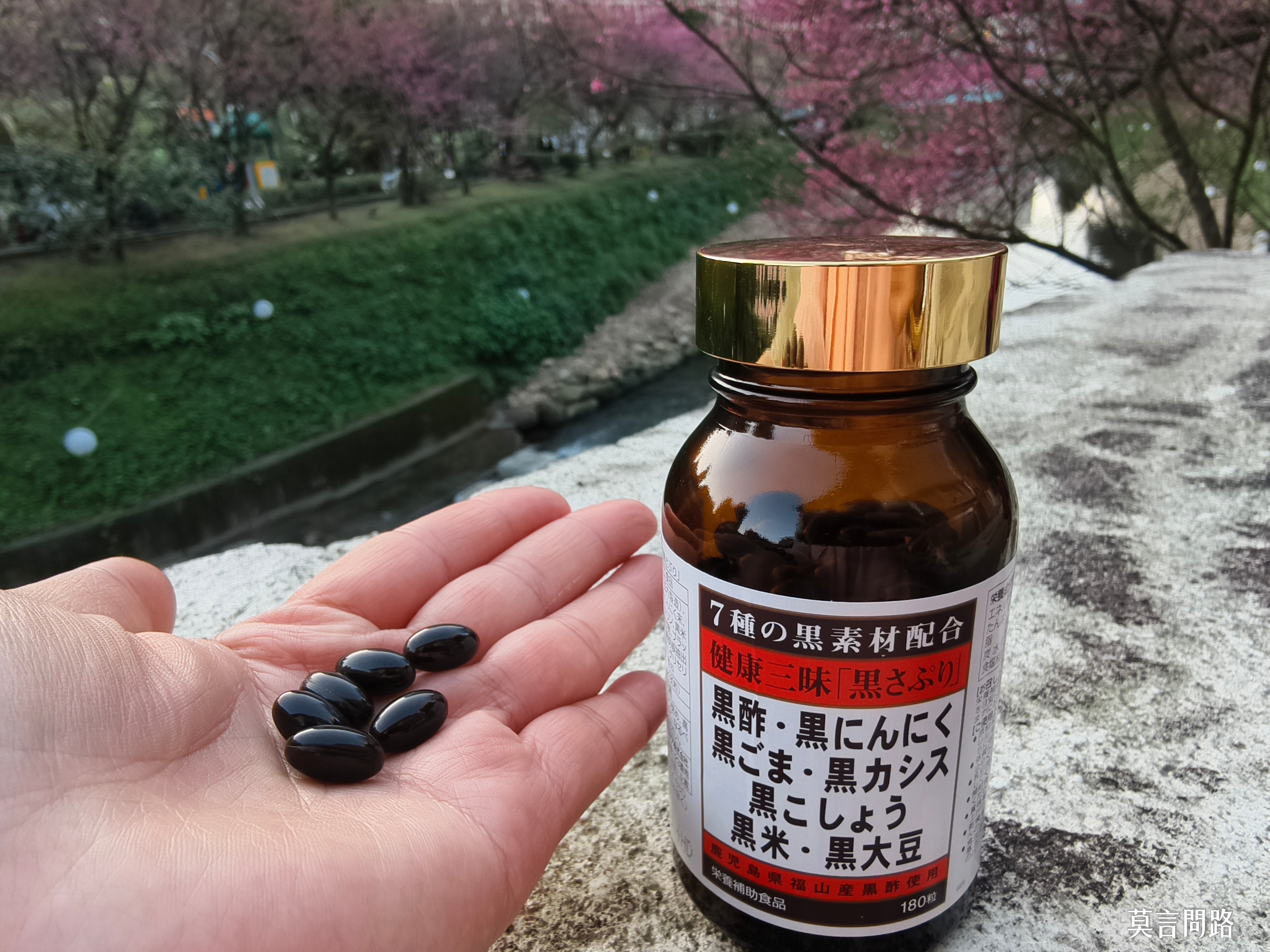 【健康三味黑膠囊】保持一整天的活力，營養師高敏敏推薦｜聚集7種黑色植物食材營養｜上班族團購 (11).jpg