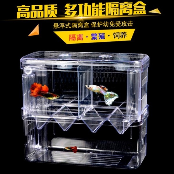 孔雀魚 超推薦多功能孔雀魚繁殖盒 隔離盒 小魚苗香蕉苗 痞客邦
