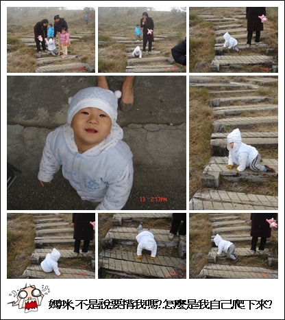 賽事紀錄_恆恆1Y1M_20080217_亞培小小旅行家