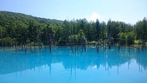 DSC_4369.JPG DSC_4369.JPG