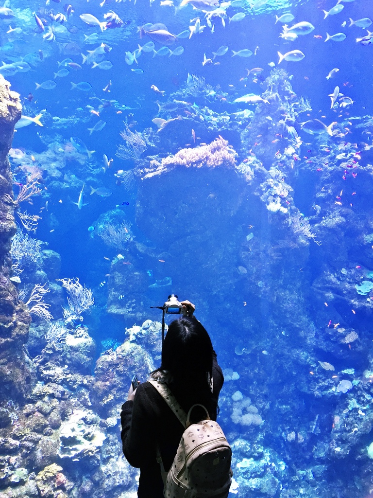 California Academy of Sciences