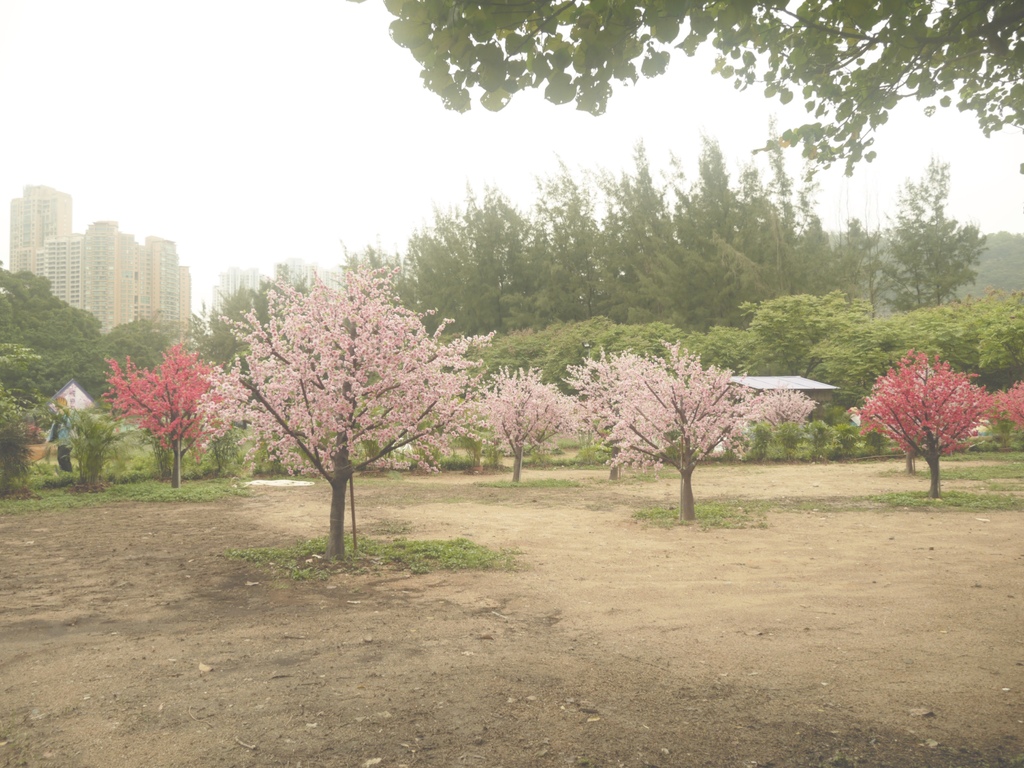 龍環葡韻 Casas - Museu da Taipa