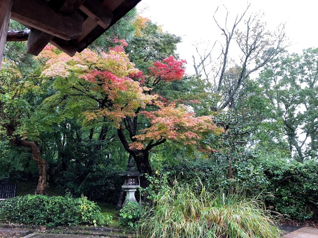 常寂光寺  Jojakko-ji