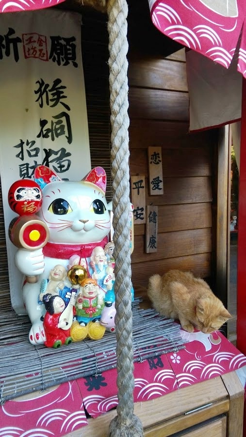 猴硐 貓村