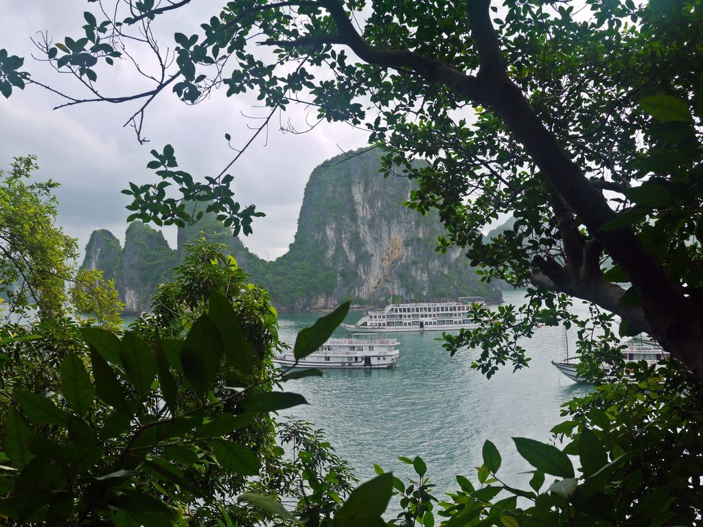 Signature Cruise, Halong Bay