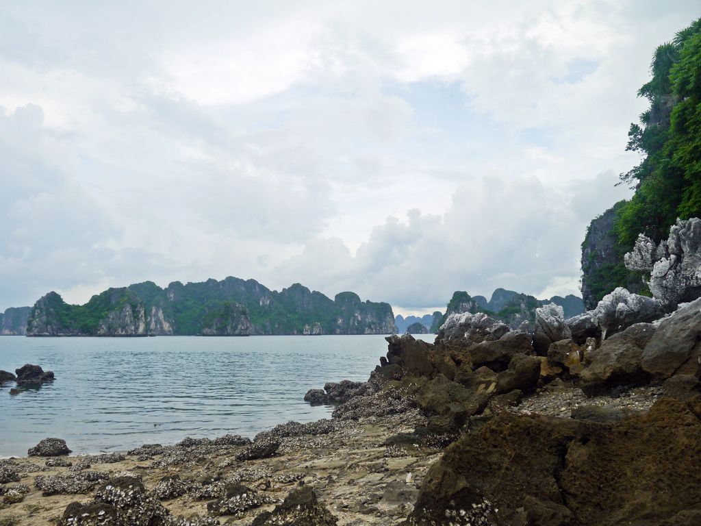 Signature Cruise, Halong Bay