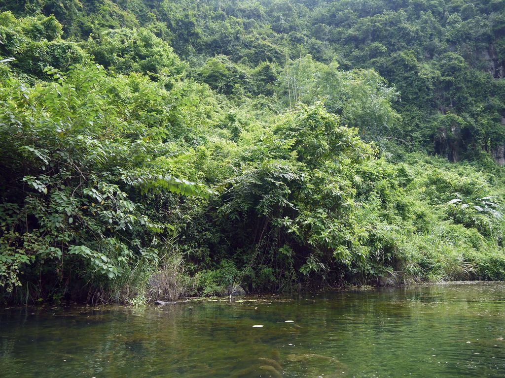 Tràng An - Di Sản Văn Hóa & Thiên Nhiên Thế Giới