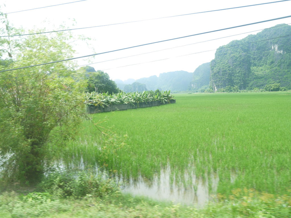  Bến Thuyền Tam Cốc, Ninh Bình