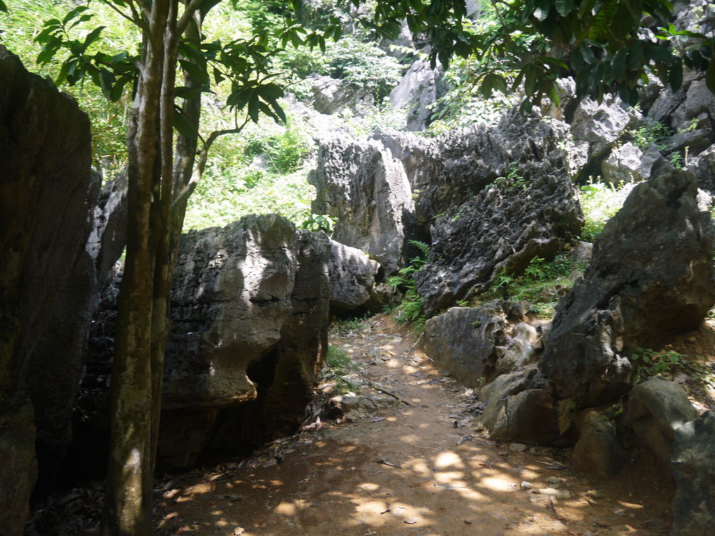 Tam Cốc - Bích Động, Ninh Bình, Việt Nam