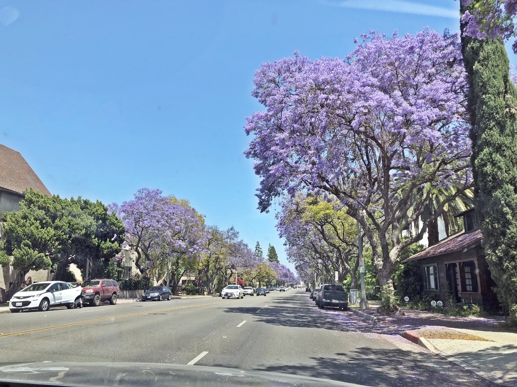 California Institute of Technology - Caltech