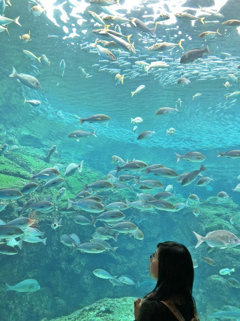 九十九島水族館 海きらら