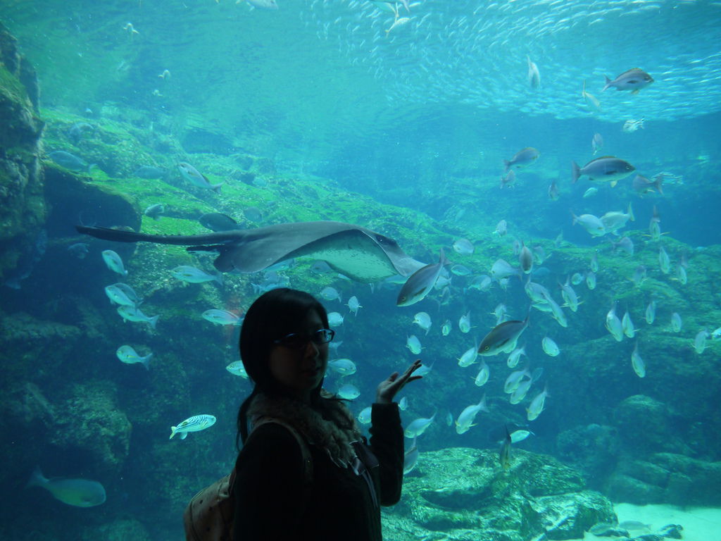 九十九島水族館 海きらら