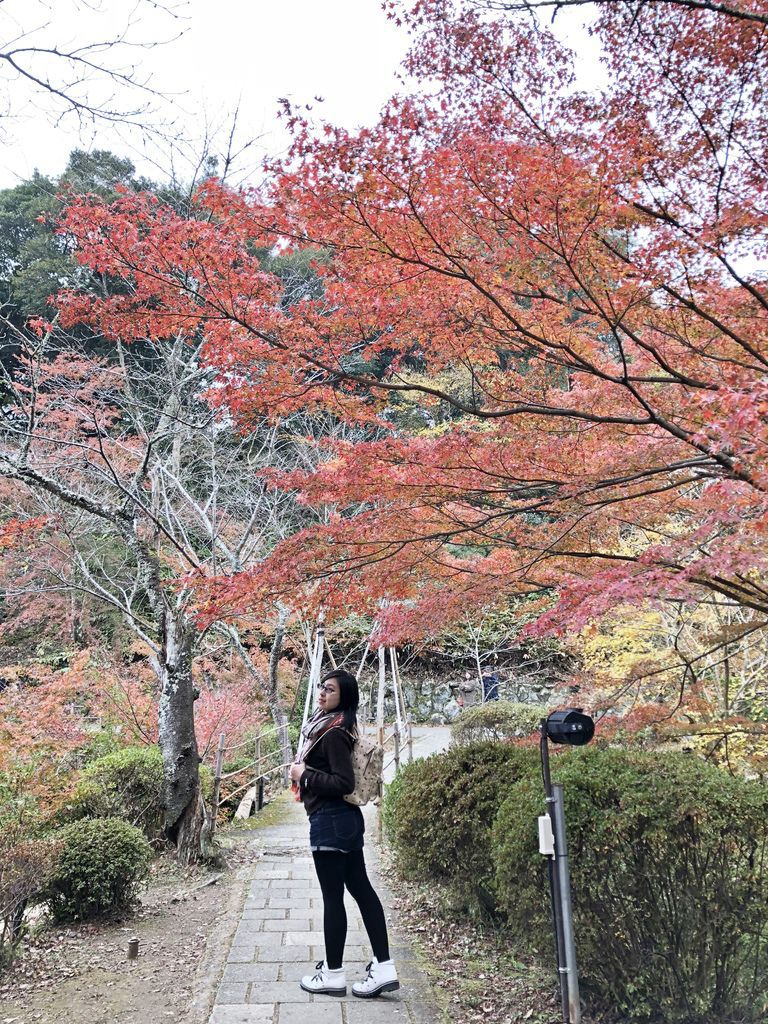 御船山楽園